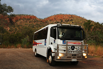 safari-coach-homepage